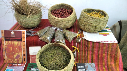 taller comunitario: “Saberes, sabores y sanares: usos y propiedades de la flora nativa”