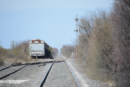 Reserva Natural Municipal Lagunas del Desaguadero. ImpaCT.AR - Desafío Nº 40