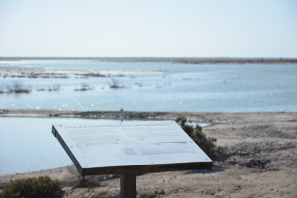 Reserva Natural Municipal Lagunas del Desaguadero. ImpaCT.AR - Desafío Nº 40