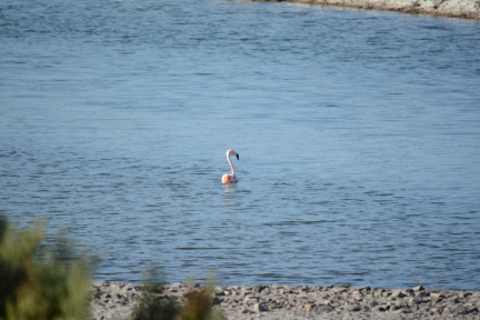 Reserva Natural Municipal Lagunas del Desaguadero. ImpaCT.AR - Desafío Nº 40