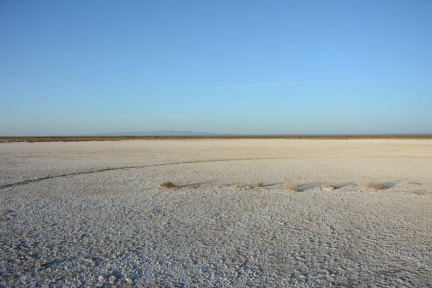 Reserva Natural Municipal Lagunas del Desaguadero. ImpaCT.AR - Desafío Nº 40