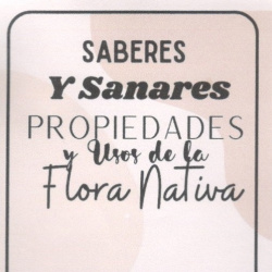 Proyectos