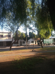 IMG 20240202 082916248