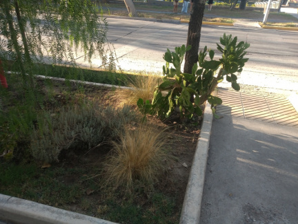 IMG 20240202 084039546