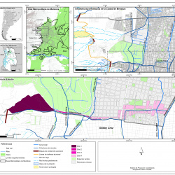 Renaturalización del paisaje de los ríos temporarios del piedemonte de la Ciudad de Mendoza: Introducción del paisaje nativo en el Zanjón Frías