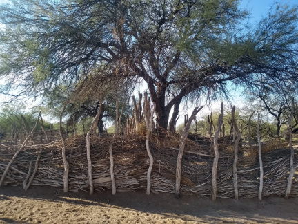 Corral de ramas 