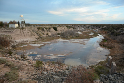 Reserva Natural Municipal Lagunas del Desaguadero. ImpaCT.AR - Desafío Nº 40